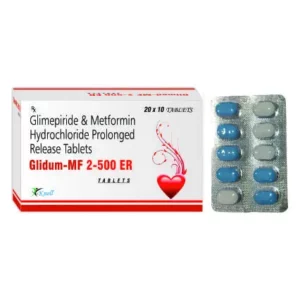 GLIDUM - MF 2/500 ER (10 Tab)